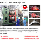 D46-125x1100 Cross Wedge roll /axles/ crankshaft /connecting rod preforging