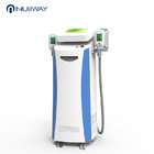 10.4 inch big screen cryolipolysis slimming machine with two handles work at the same time