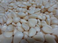 IQF frozen garlic cloves