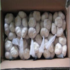 GARLIC WITH SMALL BAG &CARTON PACKAGE