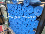 Dustproof and waterproof heavy duty roller/GCS-RS Polyethylene roller Configurable roller for SKF bearings