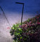 Low voltage LED Area Light and LED Spread Light Multi-color LED landscape lighting 3W Outdoor LED Path Light for pathway supplier