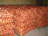 Unspoiled New Crop Natural Fresh Onion 5-9cm Yellow 20kg / Mesh Bag