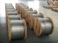 Galvanized(Zinc-coated) Steel wire for Guy Grip