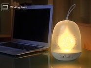 Portable Beautiful LED rechargeable Touch adjust light kid's  night sleep table bedside lamp LX127