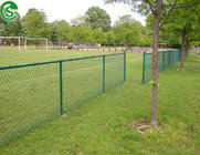 Australia green black vinyl coated used chain link fence for sale