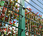 Heavy gauge spray painting welded wire mesh fence panels 868 with post
