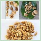 New Crop Dry Walnut Walnuss Nuts Nuss/China Xinjiang/ Walnut Food/ Food Wholesale