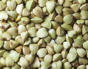 Buckwheat Extract, Total Isoflavone 30%, benifit diabetes, Shaanxi Yongyuan Bio-Tech