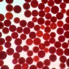 Astaxanthin dark-red powder uncracked UV/HPLC1%- 5%, oil 5%-10% , natural antioxidant , fish color pigment