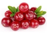 Bilberry Extract, Aronia Extract,  blueberry extract, mulberry extract, cranberry extract,  anthocyanidin, antioxidant