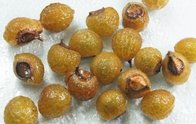 100% natural Soap Nut Extract Sapindussaponin 40% natural surfactant  washing products additive
