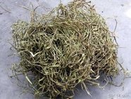 White willow Bark Extract, Salicoside 25% 98%, CAS NO.:138-52-3,pain relieving , 100% natural herbal ingredients
