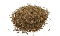 Fructus Amomi extract, Clove extract, Cuminum cyminum extract, 10:1, TCM Extract, Chinese manufacture, export, quality