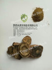 Rhubarb Root P.E., RHB-Anthraquinones 50% UV, CAS No.: 518-82-1, Weight loss,Regulate gastrointestinal tract, constipati