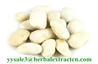 White Kidney Bean Extract  3000 units/g, 10:1，phaseolin1-3%, Chinese manufacturer supply natural Delaying aging ingre