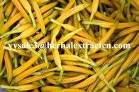 Daylily Extract natural NATURAL HERBAL ingredients  Hemerocallia Fulva extract Anti-Cancer Chinese manufacturer
