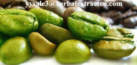 Green Coffee Bean Extract Chlorogenic acid 10%-50% Yellow Brown fine powder, herbal extract manufacture, Yongyuan Bio