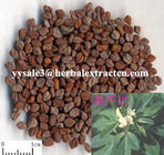 Fenugreek Seed Extract, 4-Hydroxyisoleucine 20%,40%, CAS No.: 781658-23-9, Shaanxi Yongyaun bio-Tech
