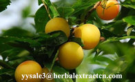 Hesperetin 98%,95% HPLC Light yellow needle crystal pure herbal ingredients