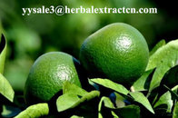 NHDC(Neohesperidin Dihydrochalcone) sweenteners,  herbal extract manufacture exporter
