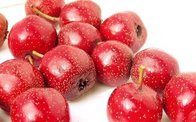 Hawthorn Fruit P.E. Total flavone5%-90%, Cardiovascular Health ,Promoting digest , Chinese manufacturer  hot sale