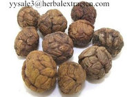 pure ingredients Cardamonin 98%, CAS No.: 19309-14-9, Alpinia katsumadai Hayata Extract, manufcturer Shaanxi Yongyuan