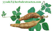 Kudzu Root extract, Isoflavones 40%, CAS No.: 3681-99-0, Puerarin, Pueraria Lobata Extract
