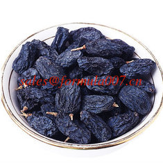 China natural organic dried black currant grape supplier