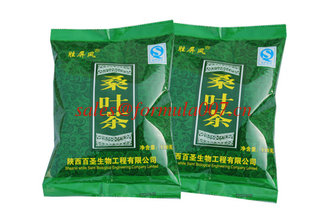China natural herbal  mulberry leaves folium mori hypoglycemic slimming tea supplier