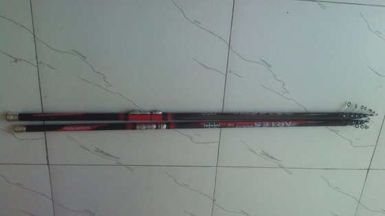 China Quality Bolognese Carbon Rods Fishing rods Fishing Poles supplier