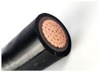XLPE Insulated 2 Cores Cable , unarmoured 0.6/1 KV