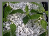 Top Quality Factory Price Expanded Perlite For Urban Agriculture