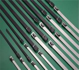 Stainless steel cable tie