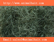 green  and  gray  curled  horse  hair  for mattress/pillow/chair/upholstery   padding.