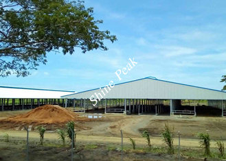 China cowshed project supplier