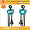 High Quality Block Manual Chain hoist 2 ton electric chain hoist supplier