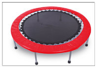 China Supply 55 Inch Kids & Adults Jumping Center Small Body Building Fitness Trampoline with Enclosure