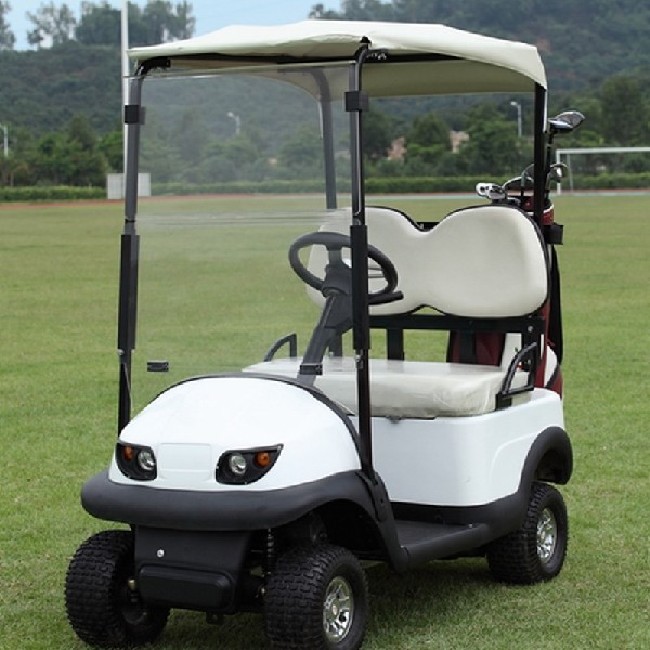 Leisure Vehicle Equipment  2 Seater Electric Golf Car for 1 or 2 Person 2.2kw