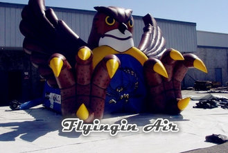 Inflatable Owl Tunnel, Inflatable Sport Tunnel, Inflatable Animal Arch for Sale
