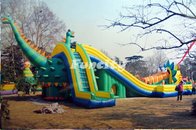 Amusement Park Playing Inflatable Slip And Slide With Pool Two Dragon Shaped