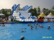Huge Size Dolphin Shaped Inflatable Dry Slide Durable PVC Tarpaulin For Pool