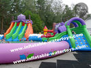 Colorful PVC Tarpaulin Aqua Inflatable Water Pool For Entertainment