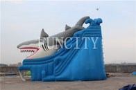 Shark Theme Blue Inflatable Dry Slide For Inflatable Water Park Games EN14960