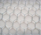 Galvanized hexagonal wire netting/hexagonal wire mesh (chicken wire netting)