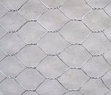 Hot Sales HPS Fence Poultry Chicken Netting Chicken Wire Netting in Australia