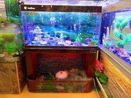 water trickling series aquarium, fish tank, custom made according to your sizes, factory price, factory lead time,