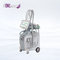 cheap  FBL Laser Aesthetic fat removal best cryolipolysis slimming machine Cryotherapy cryolipolysis machine 4 handles