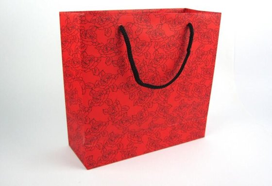 China Pantone Color Small Jewellery Gift Bags , Nylon Rope Paper Bags With Handles supplier
