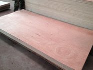 bintangor f/b,poplar corer E1 glue plywood